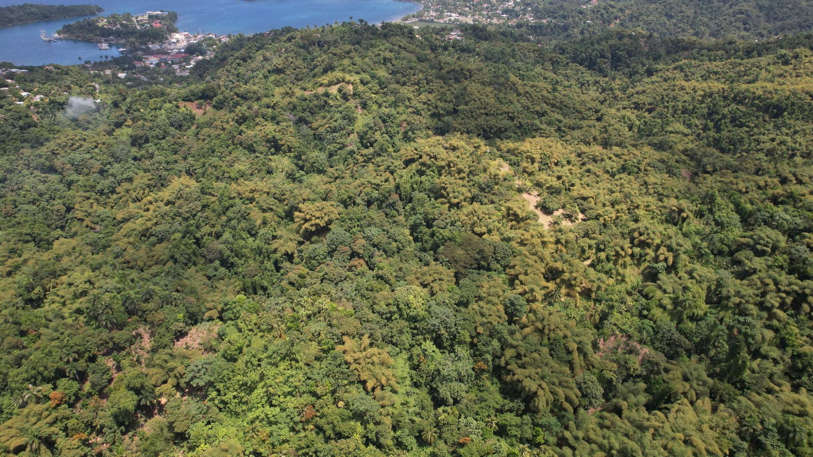 Eighth image of Boundbrook in Boundbrook, Portland, Jamaica - property is For Sale