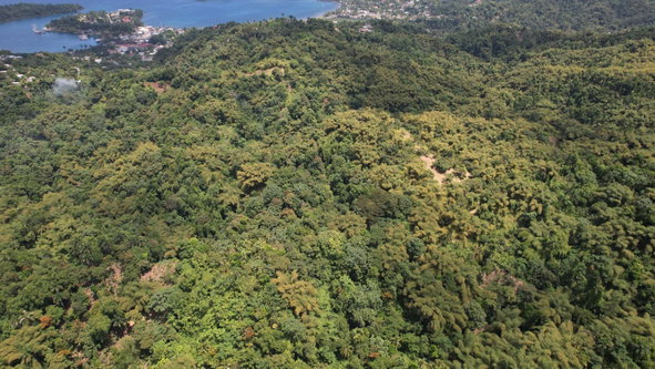 Eighth image of Boundbrook in Boundbrook, Portland, Jamaica - property is For Sale
