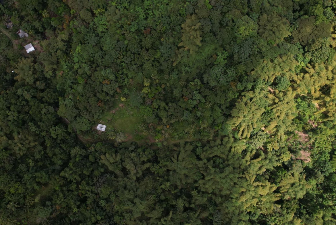 Ninth image of Boundbrook in Boundbrook, Portland, Jamaica - property is For Sale