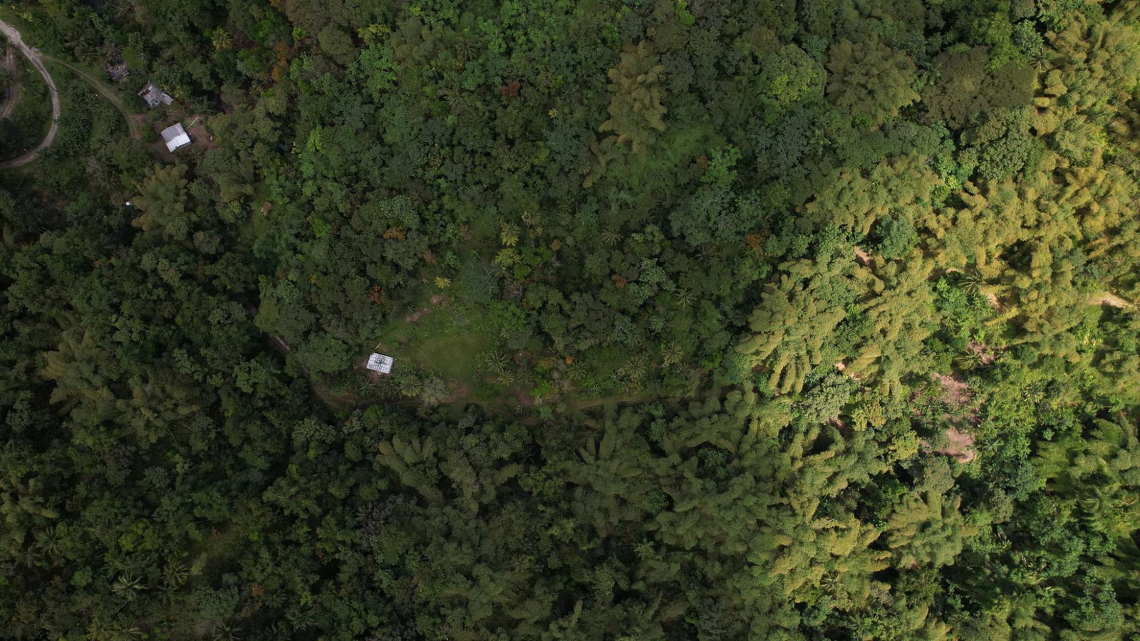 Ninth image of Boundbrook in Boundbrook, Portland, Jamaica - property is For Sale