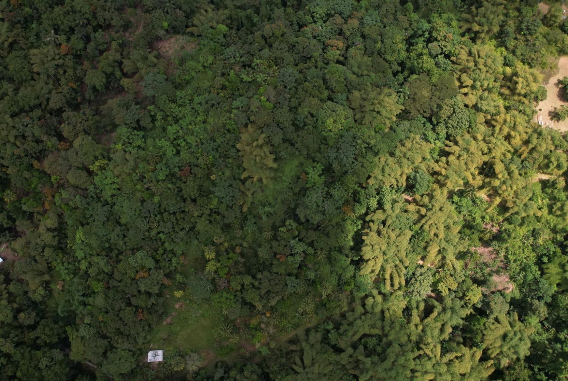 Tenth image of Boundbrook in Boundbrook, Portland, Jamaica - property is For Sale