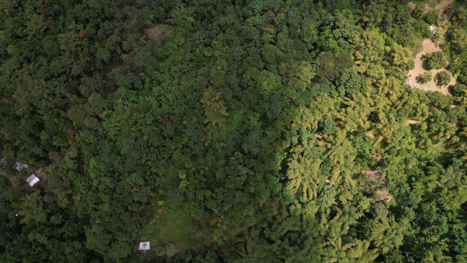 Tenth image of Boundbrook in Boundbrook, Portland, Jamaica - property is For Sale