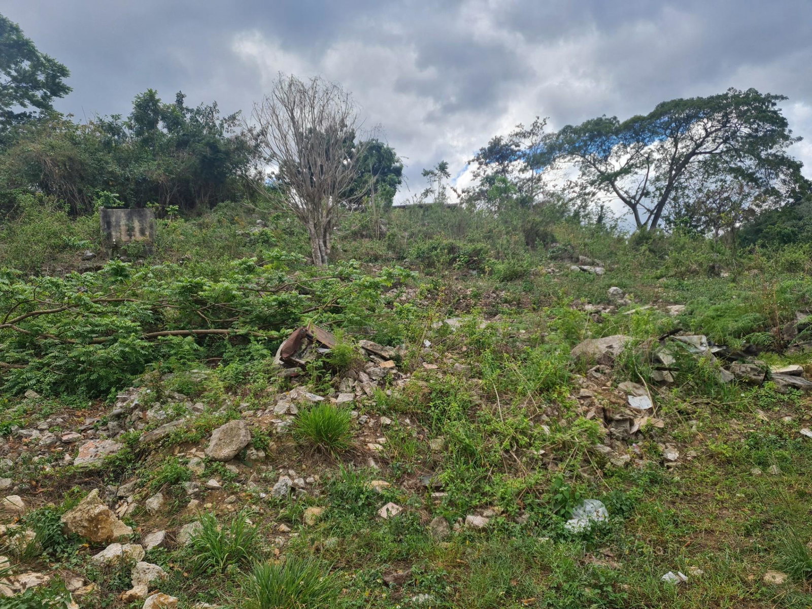 Second image of Mile Gully Manchester in MILE GULLY, Manchester, Jamaica - property is For Sale