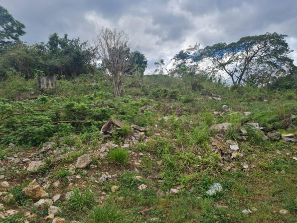 Second image of Mile Gully Manchester in MILE GULLY, Manchester, Jamaica - property is For Sale
