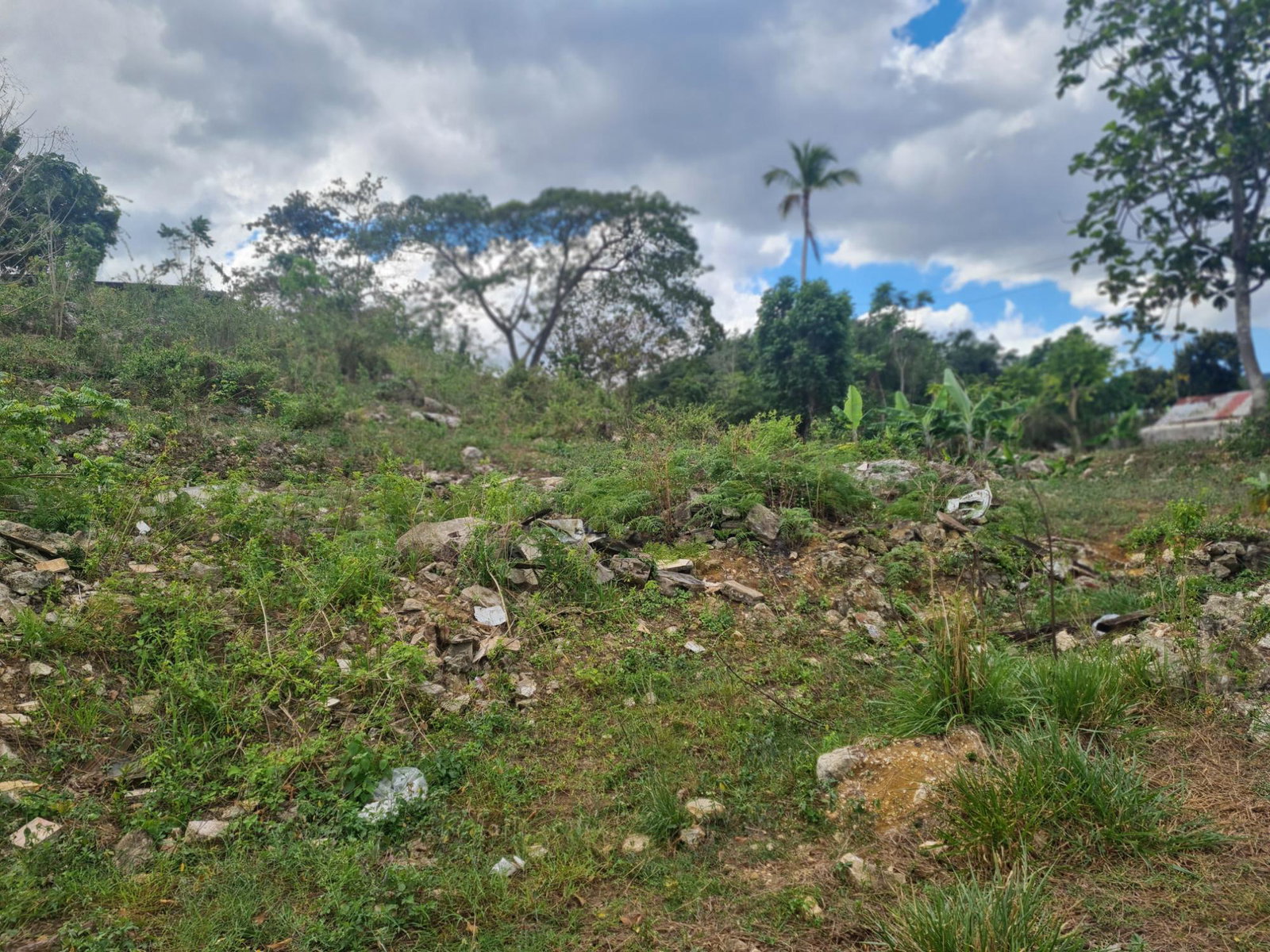 Third image of Mile Gully Manchester in MILE GULLY, Manchester, Jamaica - property is For Sale