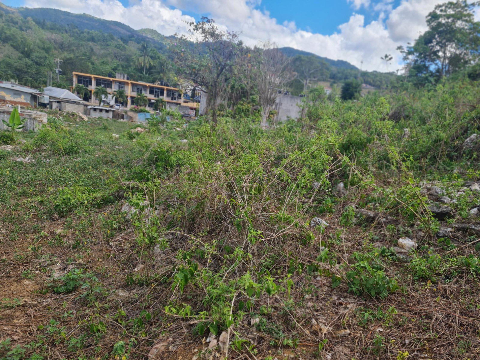 Fifth image of Mile Gully Manchester in MILE GULLY, Manchester, Jamaica - property is For Sale