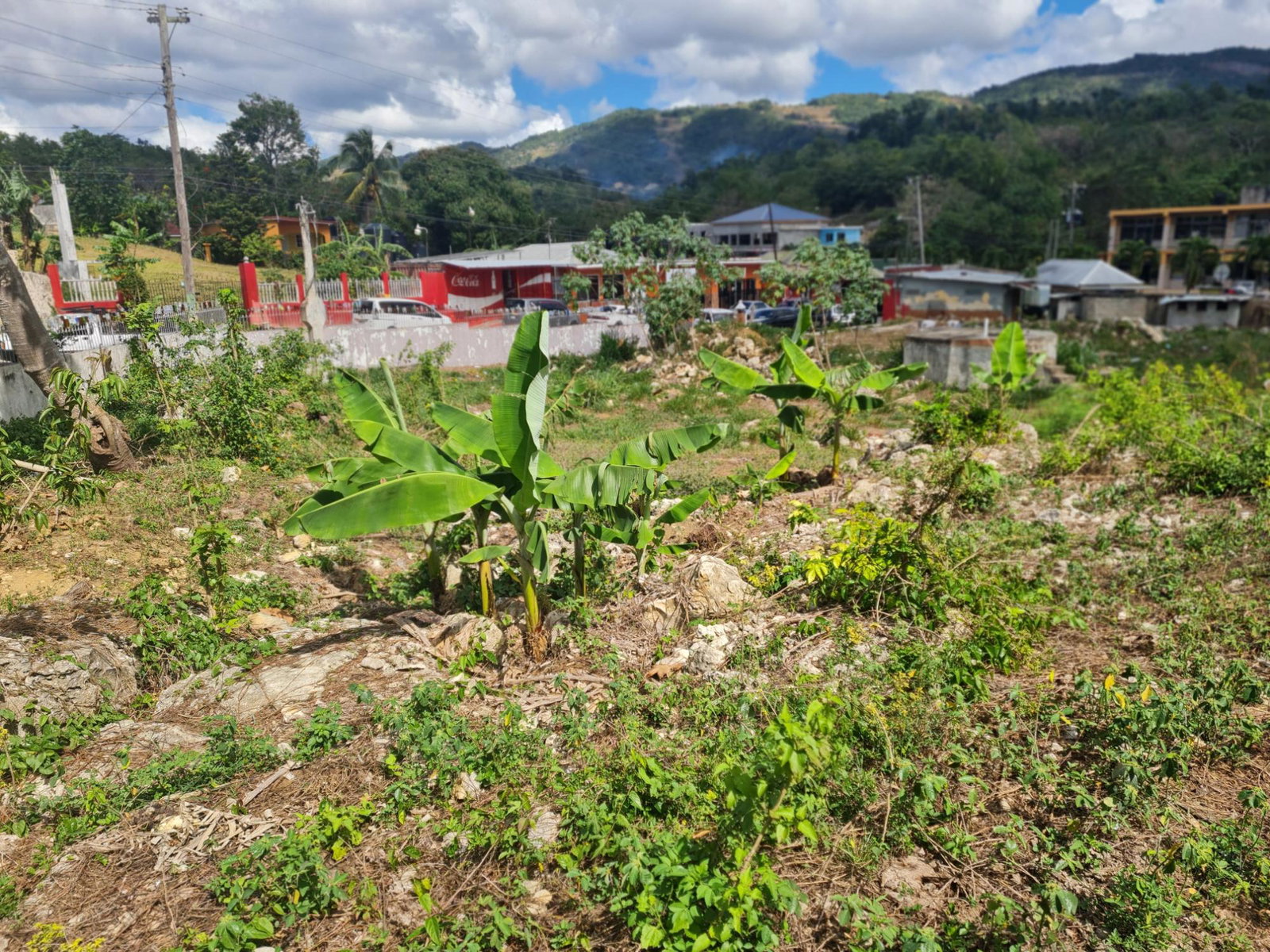 Sixth image of Mile Gully Manchester in MILE GULLY, Manchester, Jamaica - property is For Sale