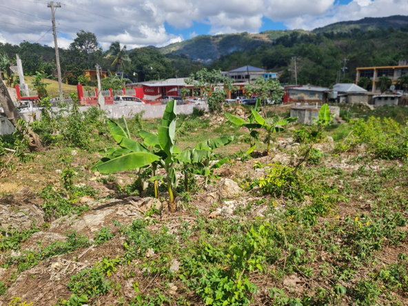 Sixth image of Mile Gully Manchester in MILE GULLY, Manchester, Jamaica - property is For Sale