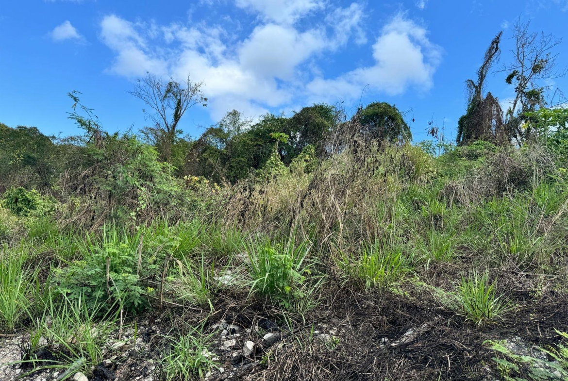 Second image of Lot 5 Montego Bay, Irwin in Irwin, St. James, Jamaica - property is For Sale