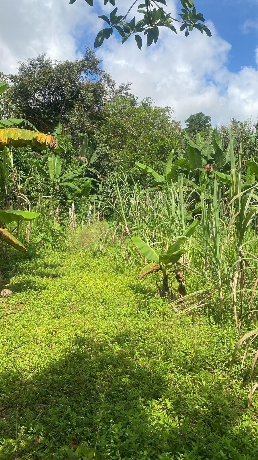 Affordable-3-Bedroom-House-for-Sale-in-Hinds-Town-St.-Ann-Jamaica Eighth image of Hinds Town, Salibury st a in Hinds Town, St. Ann, Jamaica - property is For Sale