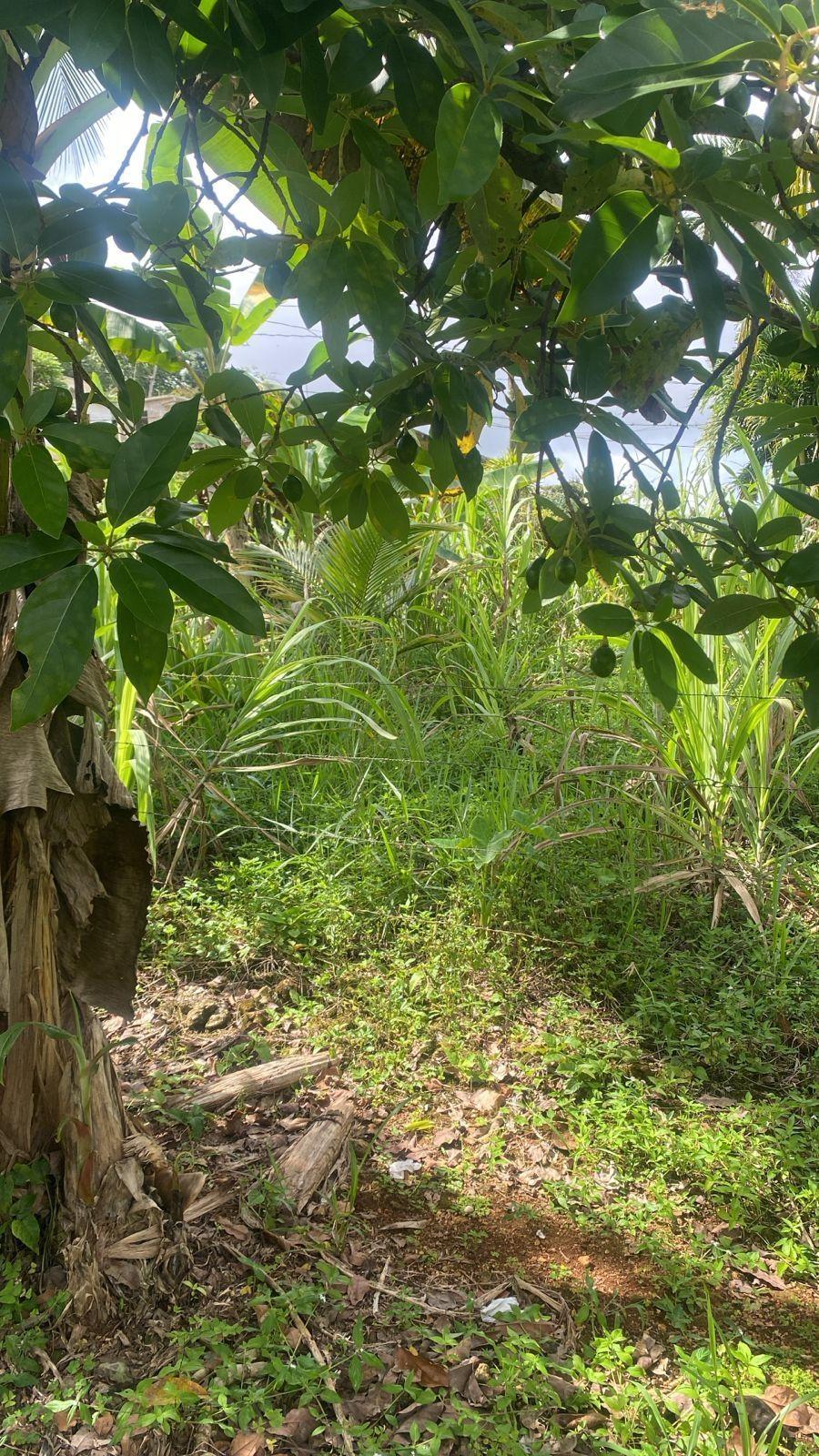 Affordable-3-Bedroom-House-for-Sale-in-Hinds-Town-St.-Ann-Jamaica Tenth image of Hinds Town, Salibury st a in Hinds Town, St. Ann, Jamaica - property is For Sale