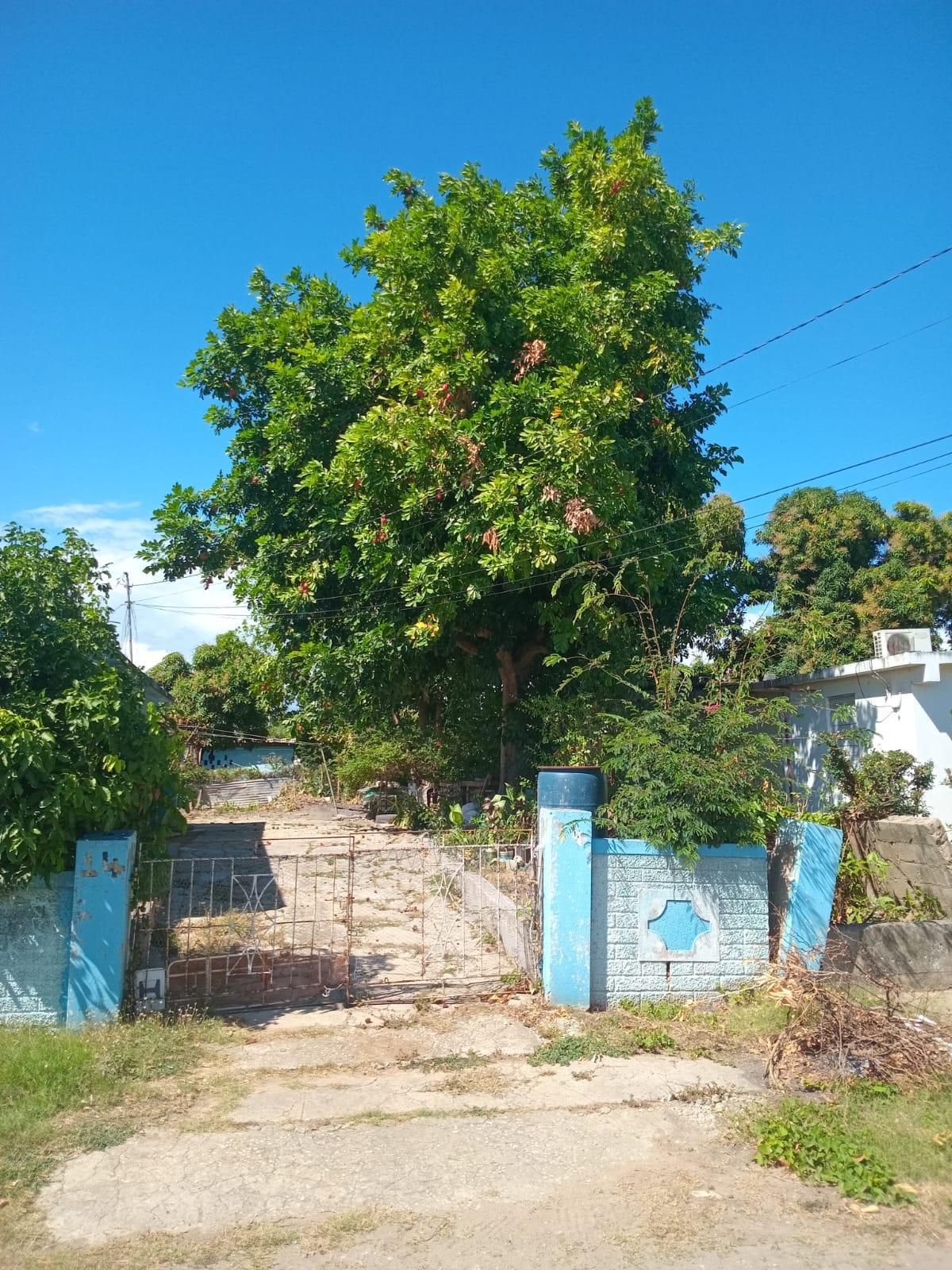 Affordable-Fixer-Upper-House-for-Sale-in-Ensom-City-Spanish-Town-St.-Catherine Second image of 824 Seaton Crescent, Ensom ci in Ensom City, St. Catherine, Jamaica - property is For Sale