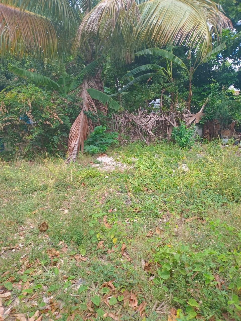 Affordable-Fixer-Upper-House-for-Sale-in-Ensom-City-Spanish-Town-St.-Catherine Sixth image of 824 Seaton Crescent, Ensom ci in Ensom City, St. Catherine, Jamaica - property is For Sale