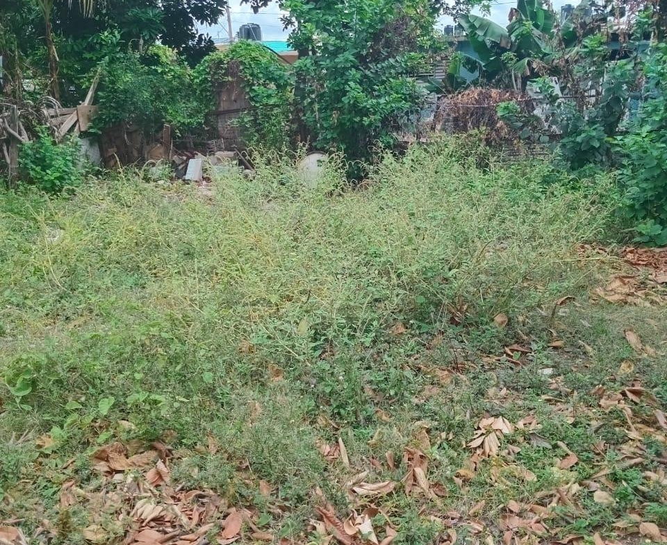 Seventh image of 824 Seaton Crescent, Ensom ci in Ensom City, St. Catherine, Jamaica - property is For Sale