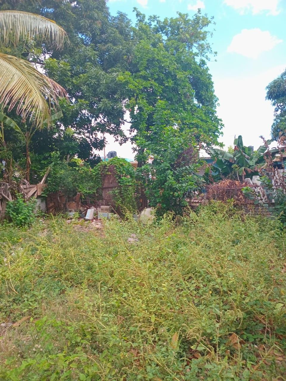 Affordable-Fixer-Upper-House-for-Sale-in-Ensom-City-Spanish-Town-St.-Catherine Eighth image of 824 Seaton Crescent, Ensom ci in Ensom City, St. Catherine, Jamaica - property is For Sale