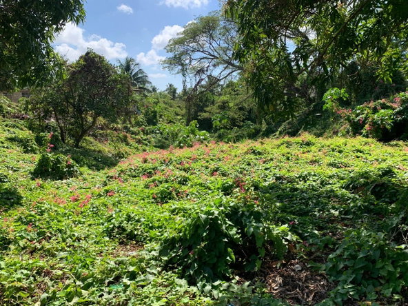Sixth image of 10 Cashonia Drive, Lauriston in Lauriston, St. Catherine, Jamaica - property is For Sale