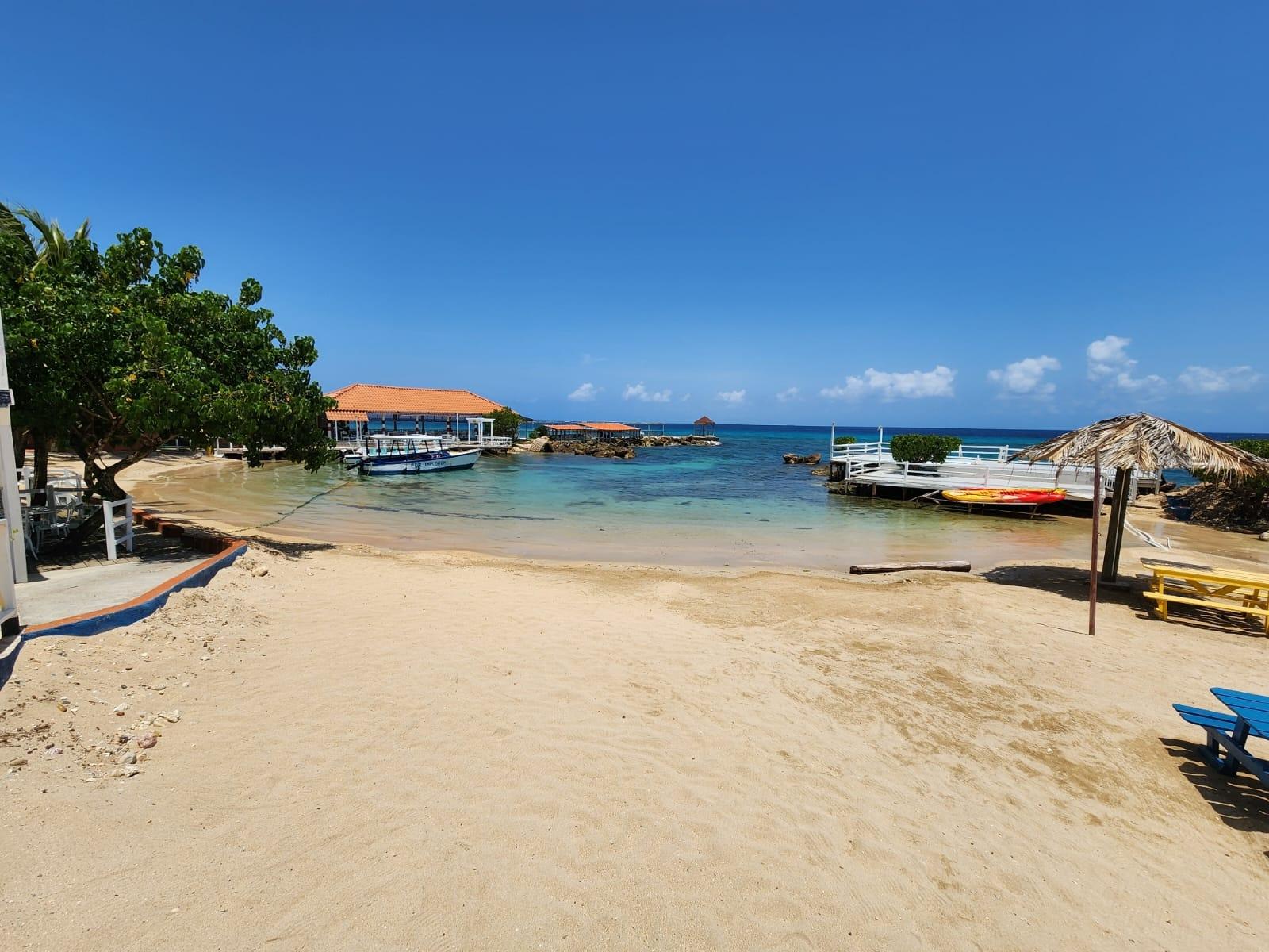 Beachfront-2-Bedroom-Apartment-for-Sale-in-Runaway-Bay-St.-Ann-Franklin-D-Resort Sixteenth image of 124- Franklin d Resort And Spa in Runaway Bay, St. Ann, Jamaica - property is For Sale