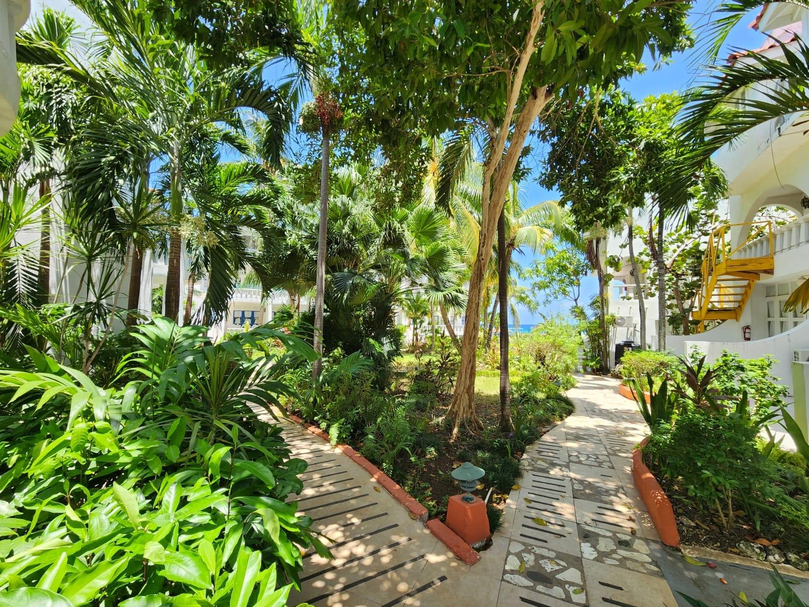Beachfront-2-Bedroom-Apartment-for-Sale-in-Runaway-Bay-St.-Ann-Franklin-D-Resort Fifth image of 124- Franklin d Resort And Spa in Runaway Bay, St. Ann, Jamaica - property is For Sale