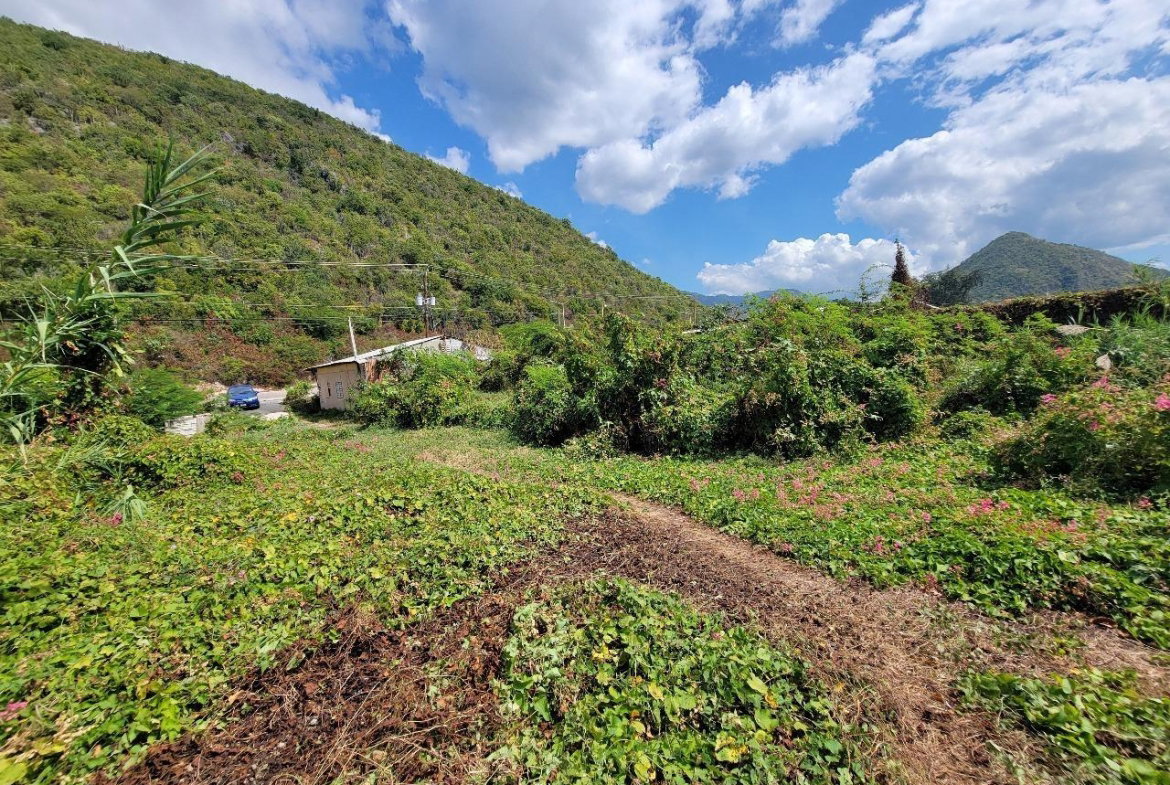 Third image of Lot No. 5 Halberstadt Nine Miles bu in Bull Bay P.O., St. Andrew, Jamaica - property is For Sale