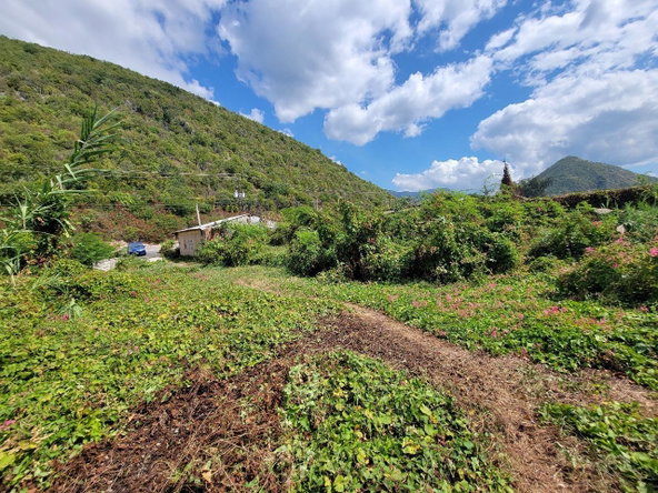 Third image of Lot No. 5 Halberstadt Nine Miles bu in Bull Bay P.O., St. Andrew, Jamaica - property is For Sale