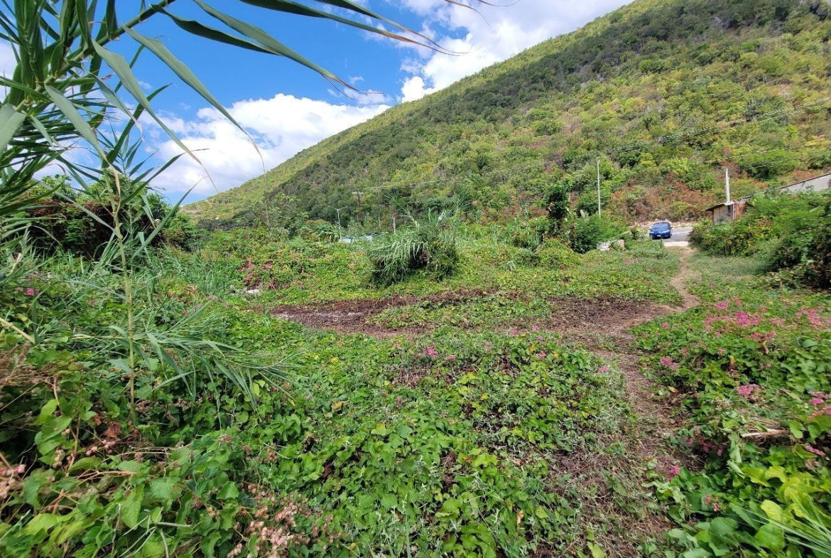 Fourth image of Lot No. 5 Halberstadt Nine Miles bu in Bull Bay P.O., St. Andrew, Jamaica - property is For Sale