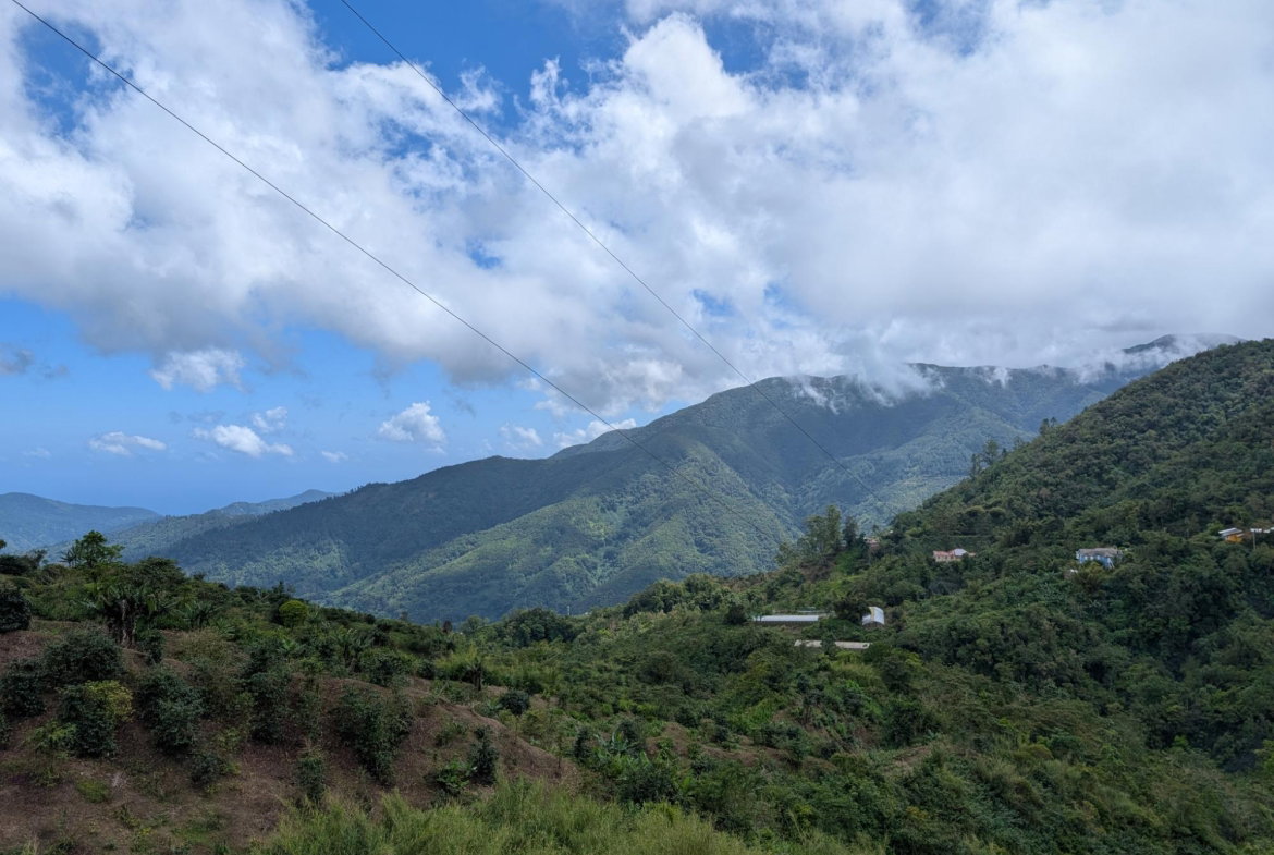 Second image of Part of Castle Dawson in Green Hill, Portland, Jamaica - property is For Sale