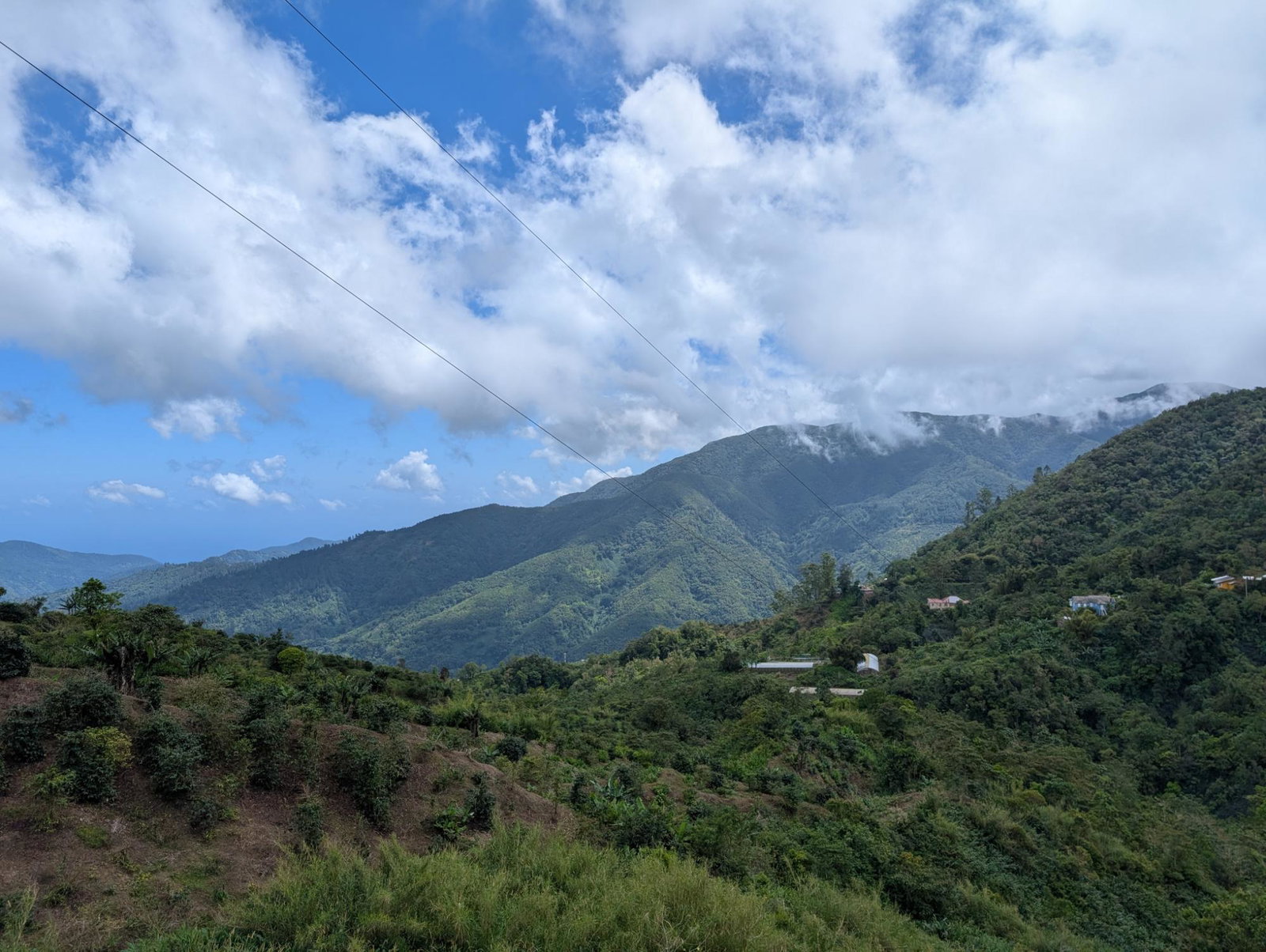 Second image of Part of Castle Dawson in Green Hill, Portland, Jamaica - property is For Sale