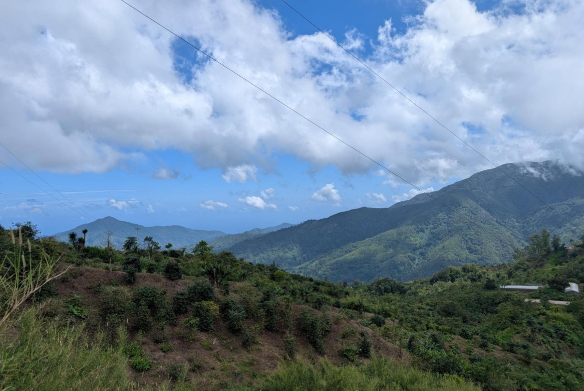 First image of Part of Castle Dawson in Green Hill, Portland, Jamaica - property is For Sale