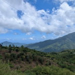 First image of Part of Castle Dawson in Green Hill, Portland, Jamaica - property is For Sale