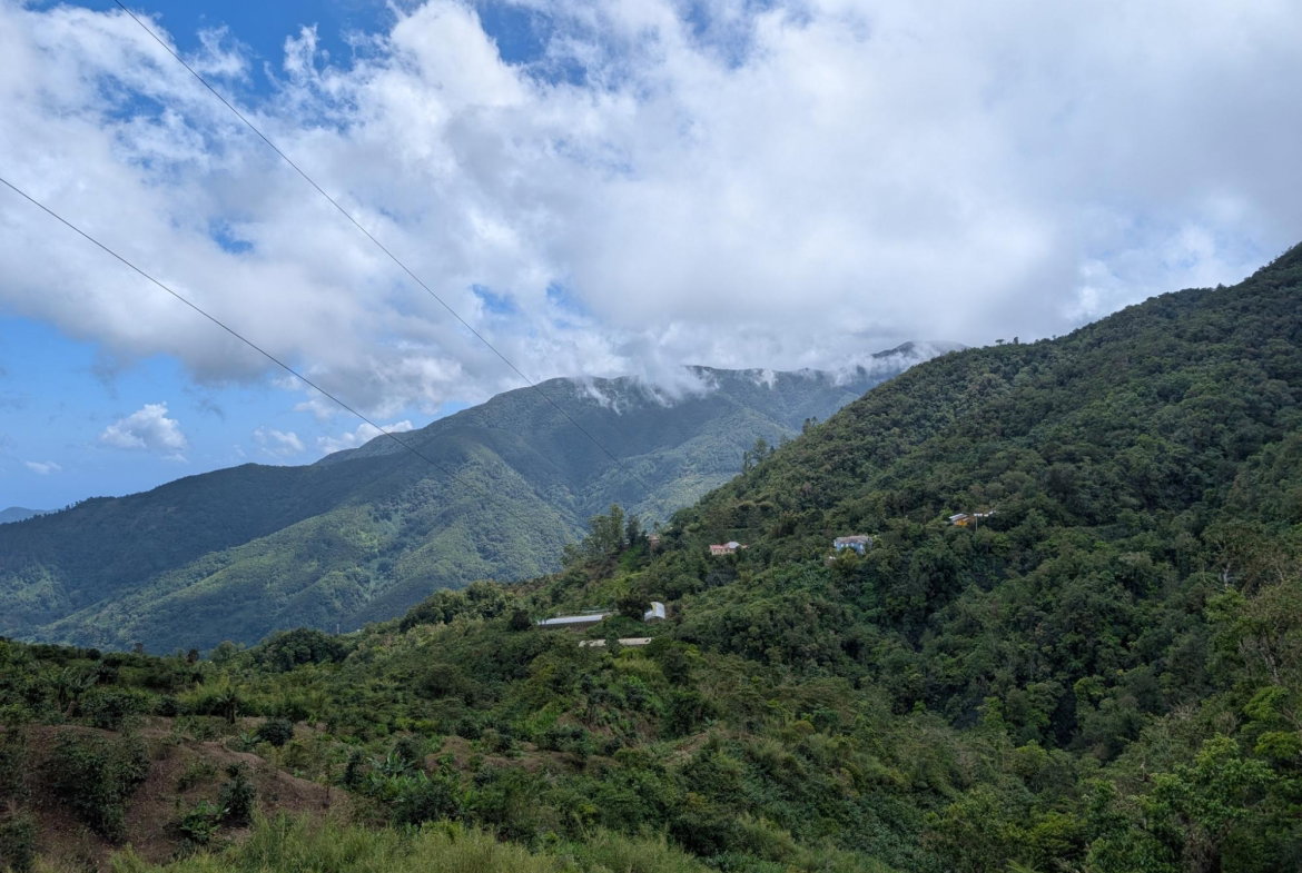 Third image of Part of Castle Dawson in Green Hill, Portland, Jamaica - property is For Sale