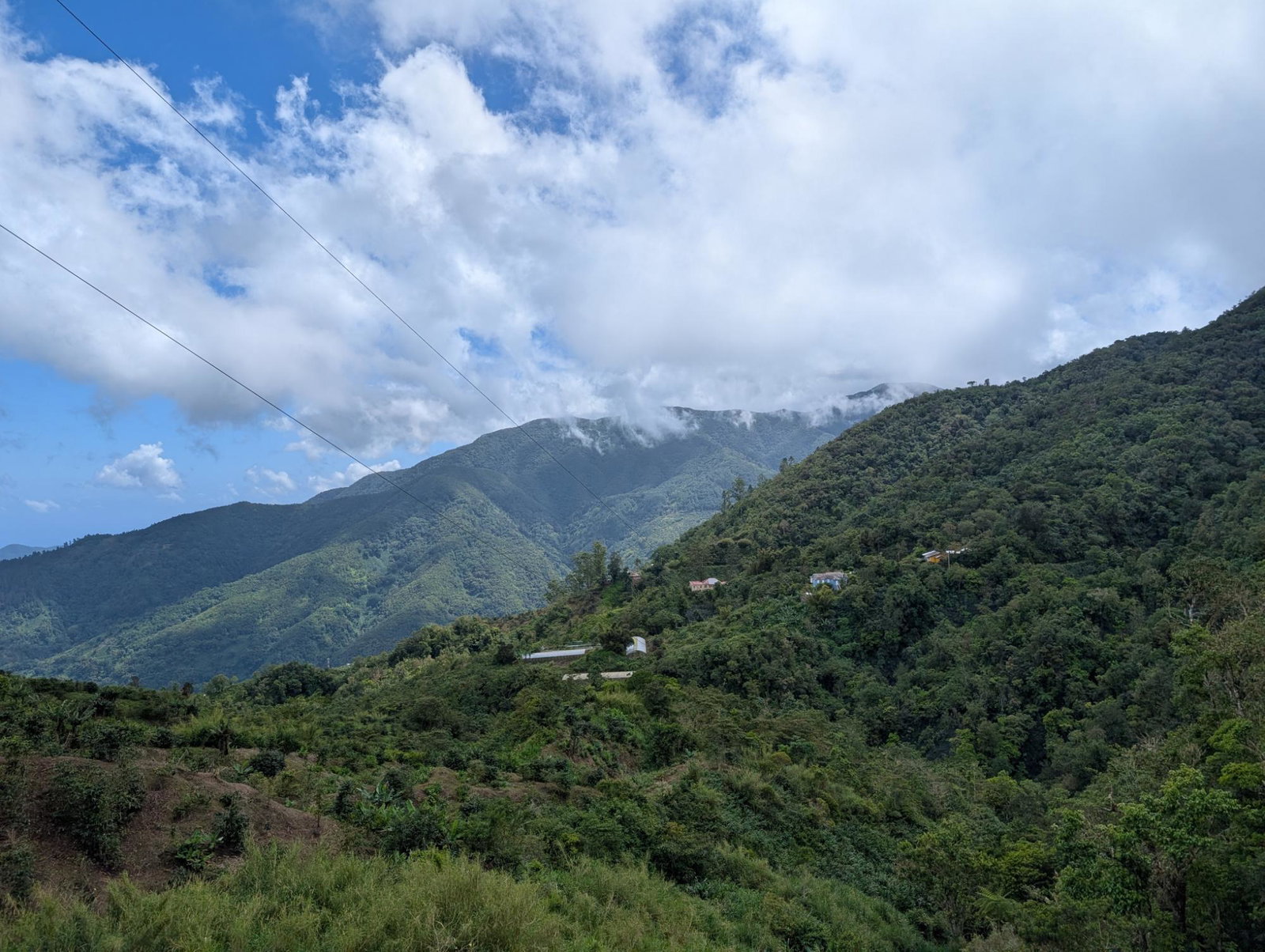 Third image of Part of Castle Dawson in Green Hill, Portland, Jamaica - property is For Sale