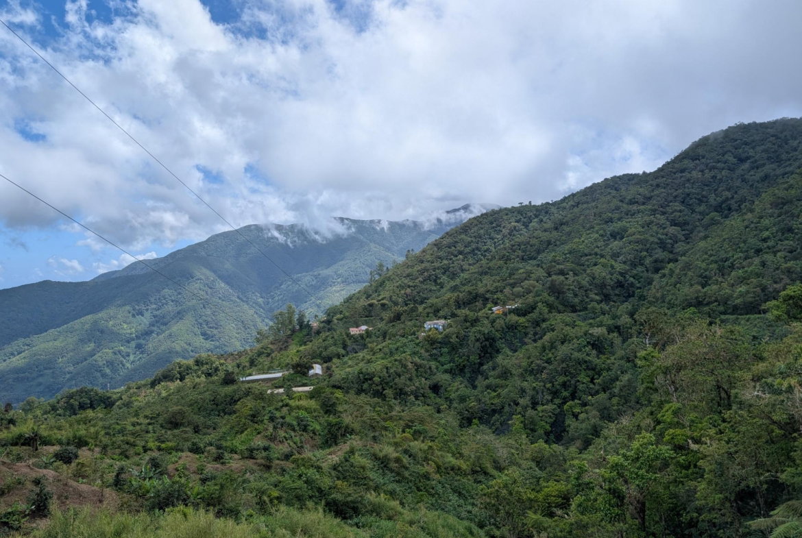 Fourth image of Part of Castle Dawson in Green Hill, Portland, Jamaica - property is For Sale