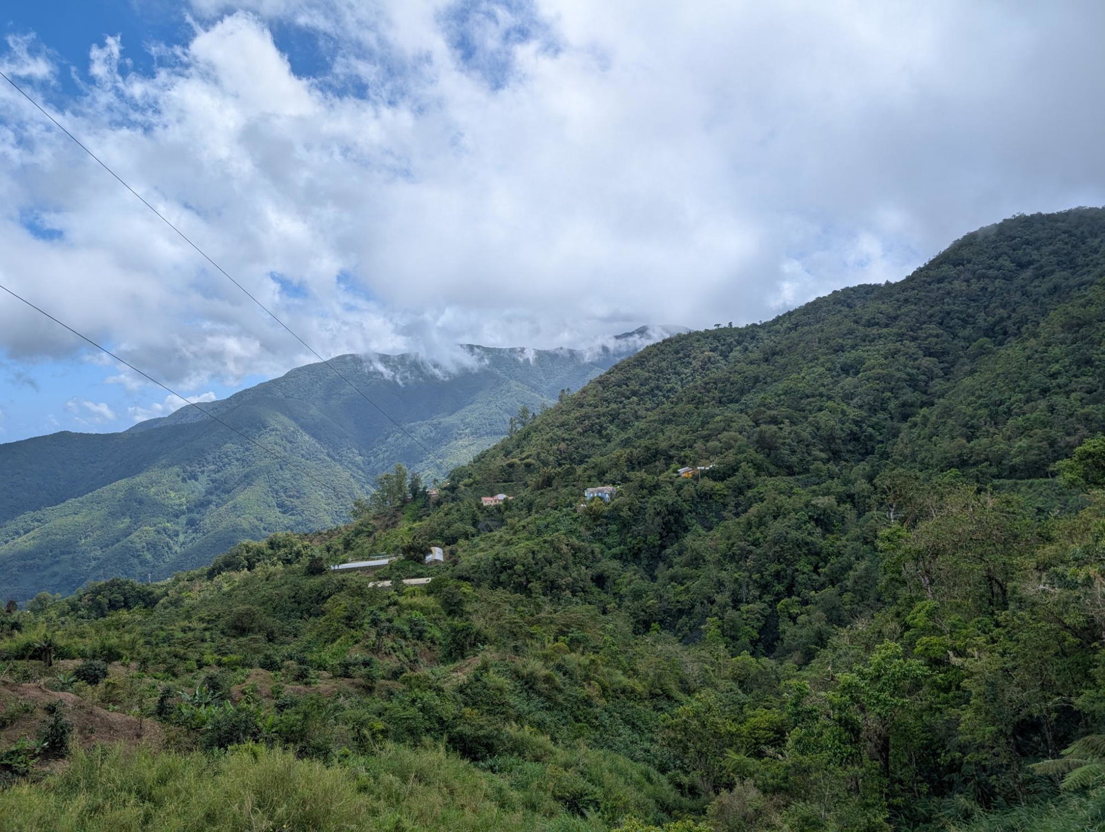 Fourth image of Part of Castle Dawson in Green Hill, Portland, Jamaica - property is For Sale