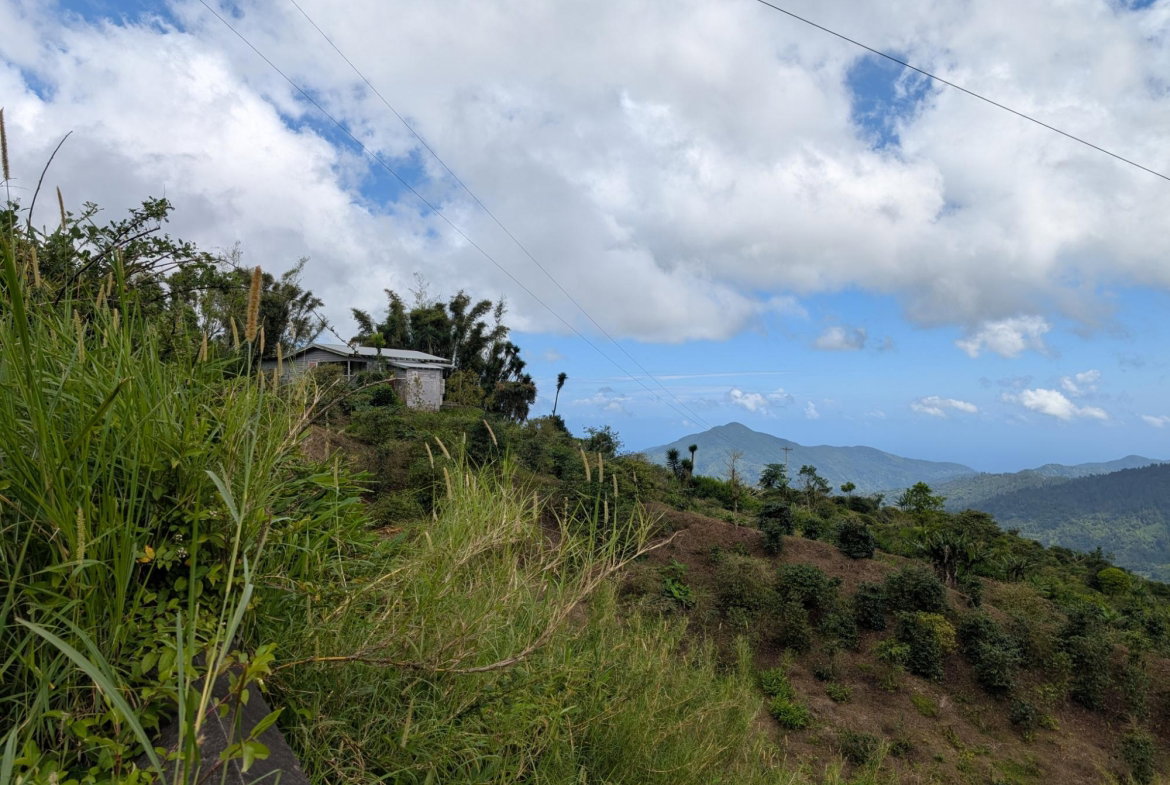 Fifth image of Part of Castle Dawson in Green Hill, Portland, Jamaica - property is For Sale
