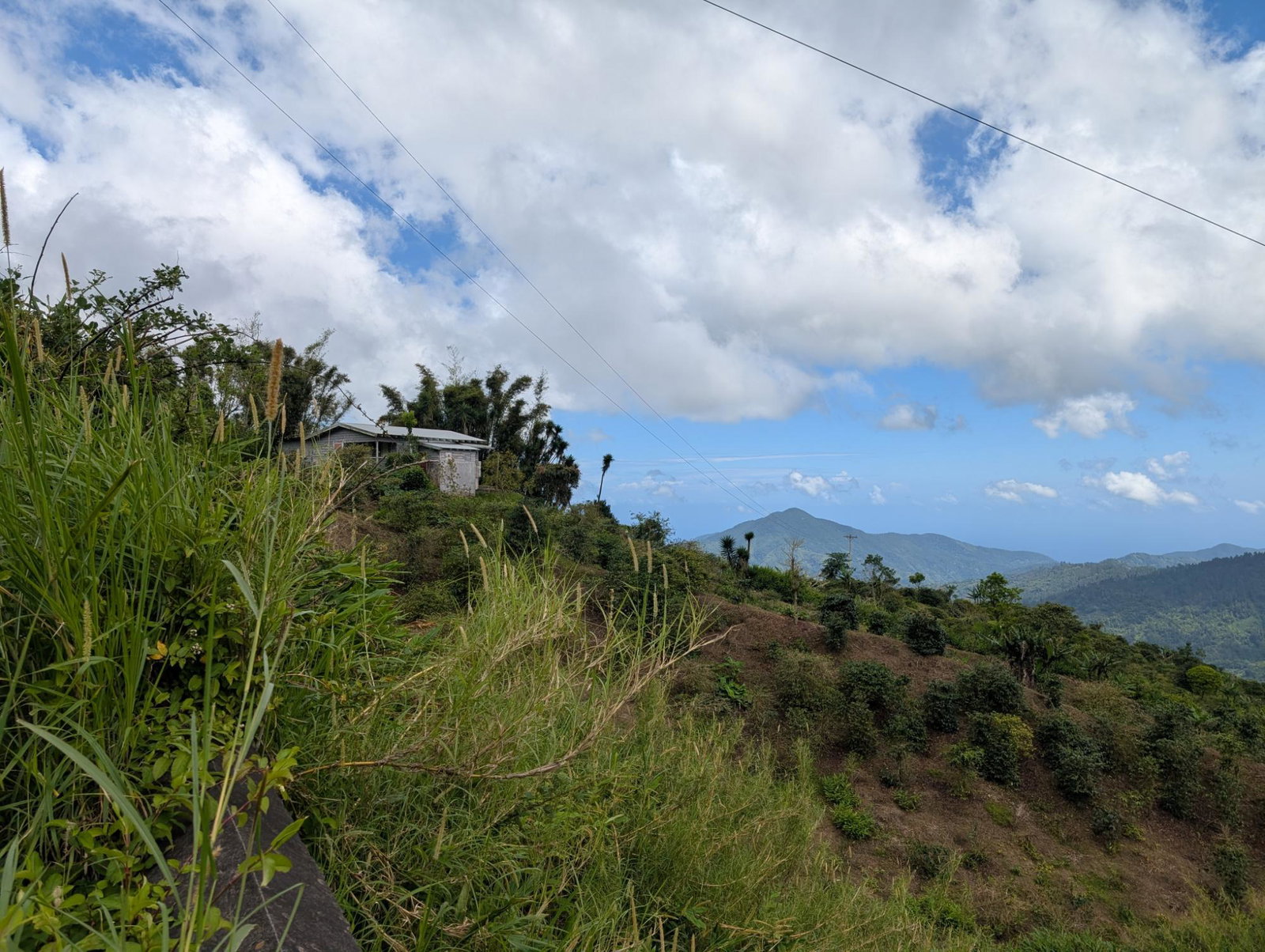 Fifth image of Part of Castle Dawson in Green Hill, Portland, Jamaica - property is For Sale