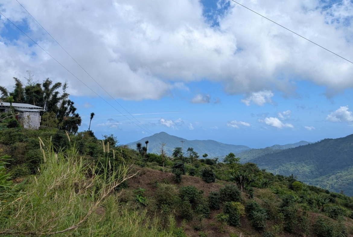 Sixth image of Part of Castle Dawson in Green Hill, Portland, Jamaica - property is For Sale