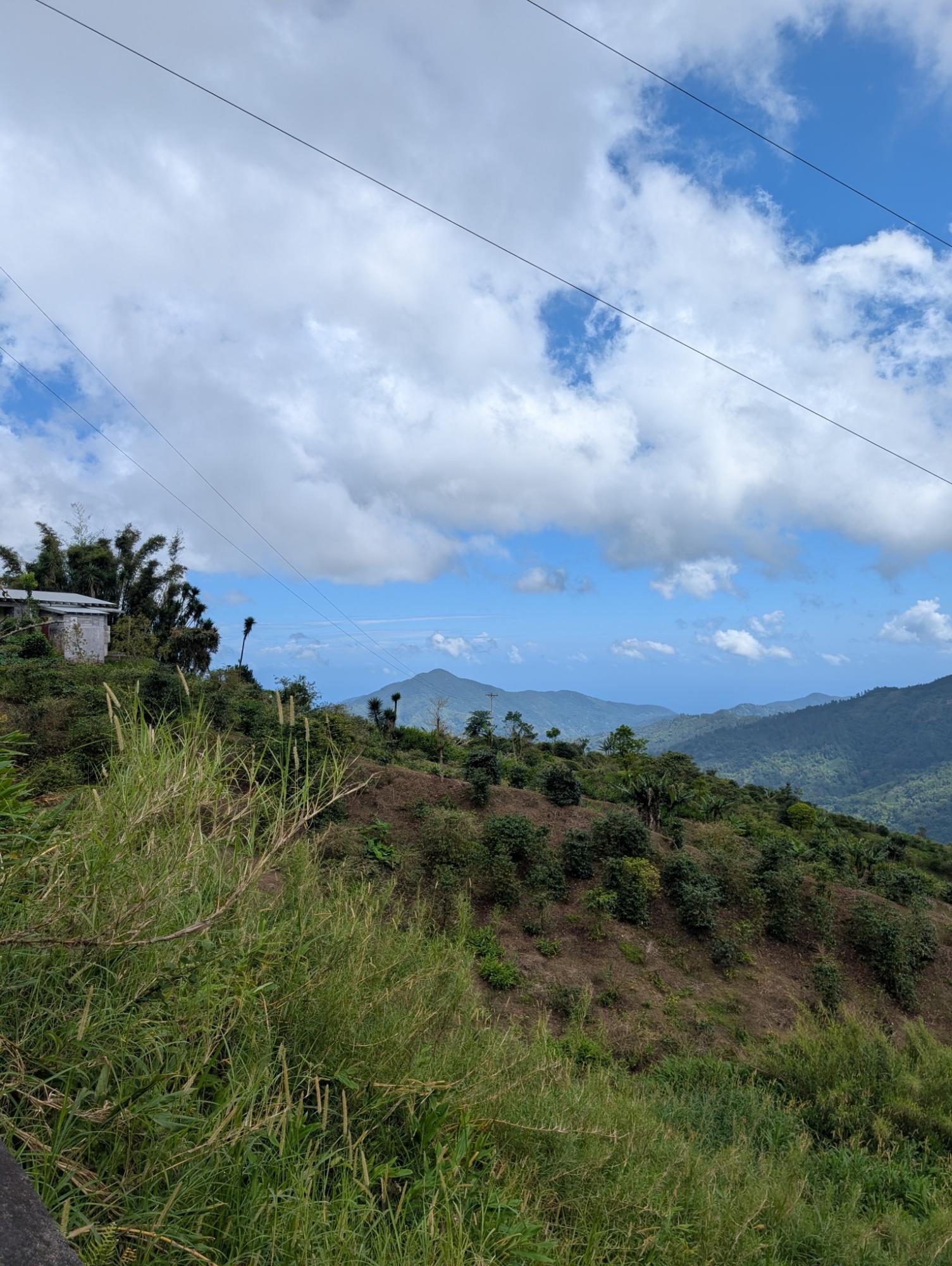 Sixth image of Part of Castle Dawson in Green Hill, Portland, Jamaica - property is For Sale