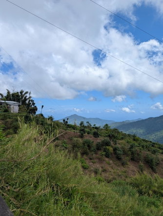 Sixth image of Part of Castle Dawson in Green Hill, Portland, Jamaica - property is For Sale