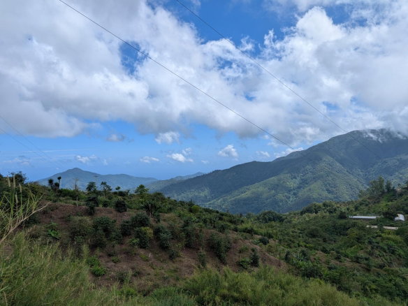 First image of Part of Castle Dawson in Green Hill, Portland, Jamaica - property is For Sale