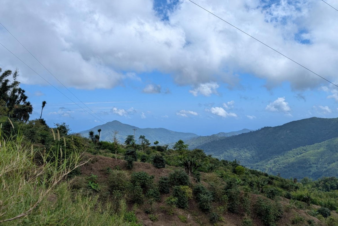 Seventh image of Part of Castle Dawson in Green Hill, Portland, Jamaica - property is For Sale