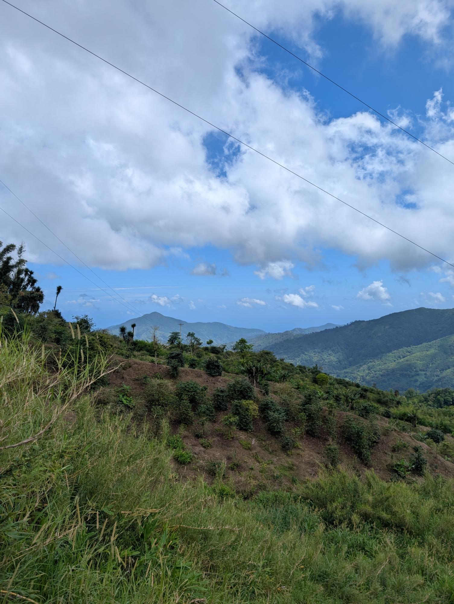 Seventh image of Part of Castle Dawson in Green Hill, Portland, Jamaica - property is For Sale