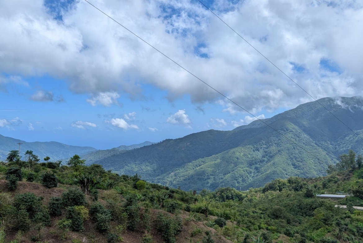 Eighth image of Part of Castle Dawson in Green Hill, Portland, Jamaica - property is For Sale