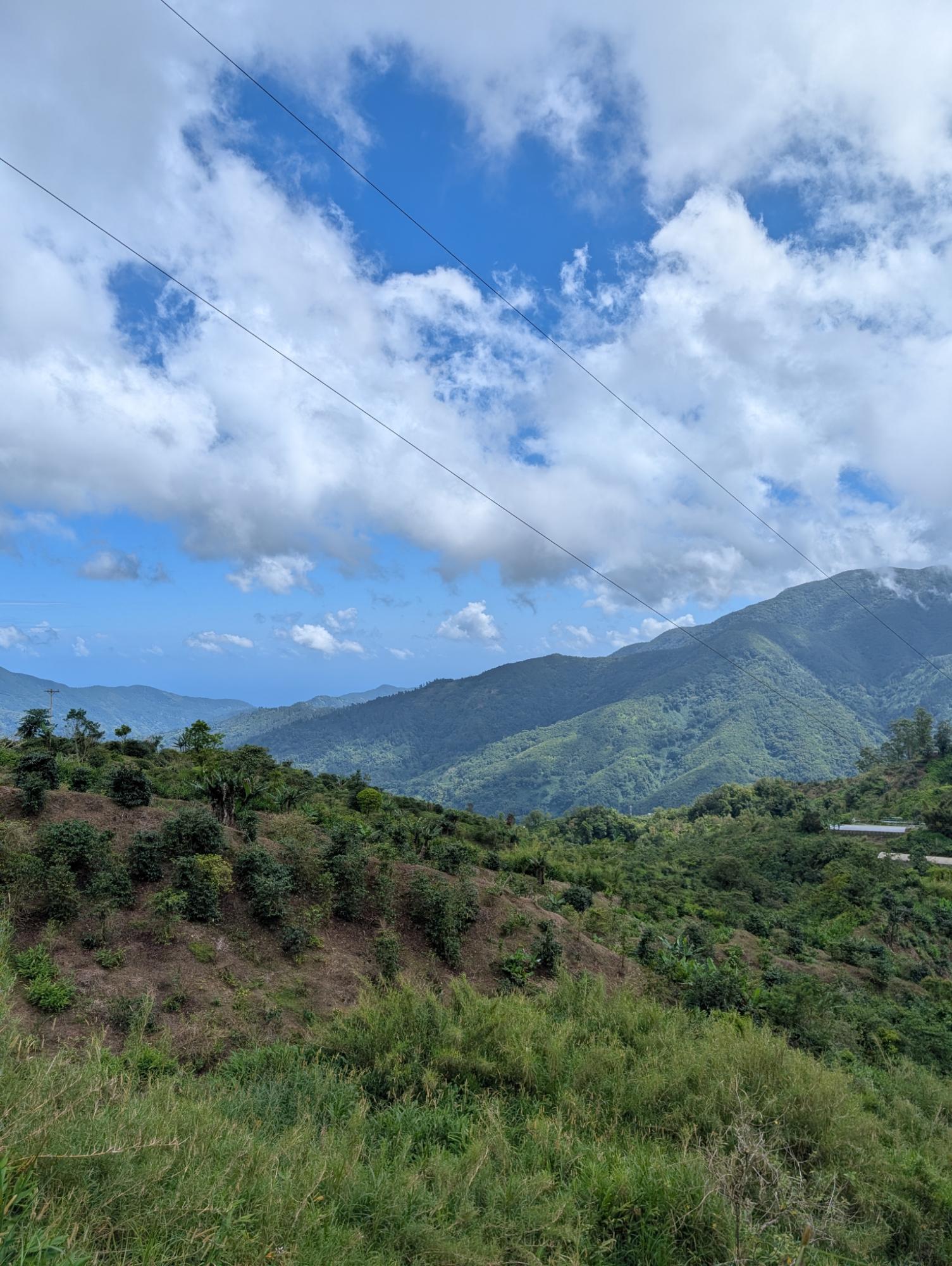 Eighth image of Part of Castle Dawson in Green Hill, Portland, Jamaica - property is For Sale