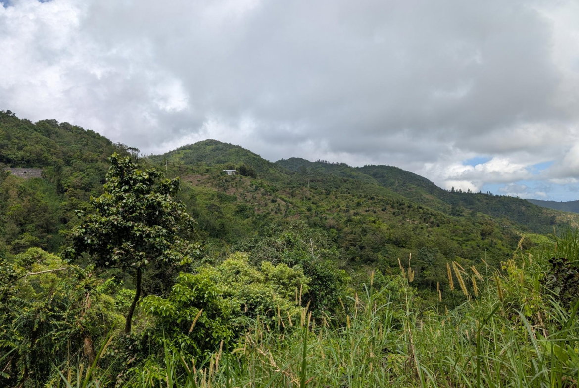 Ninth image of Part of Castle Dawson in Green Hill, Portland, Jamaica - property is For Sale