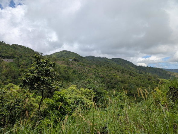 Ninth image of Part of Castle Dawson in Green Hill, Portland, Jamaica - property is For Sale