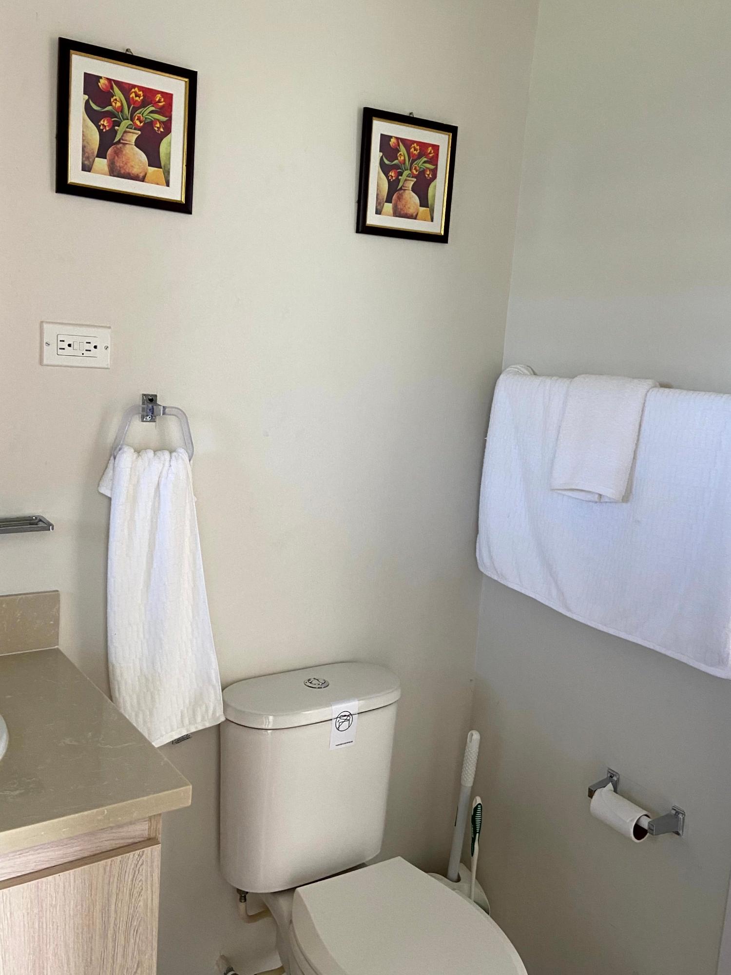 Twenty-Sixth image of 174 Camelot Village in Hopewell, St. Ann, Jamaica - property is For Sale