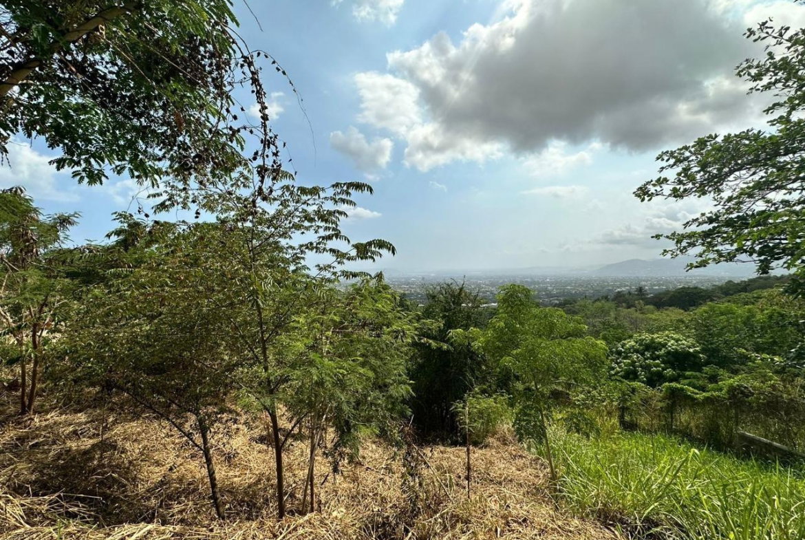 Second image of 23 Widcombe Estate in Kingston 6, St. Andrew, Jamaica - property is For Sale