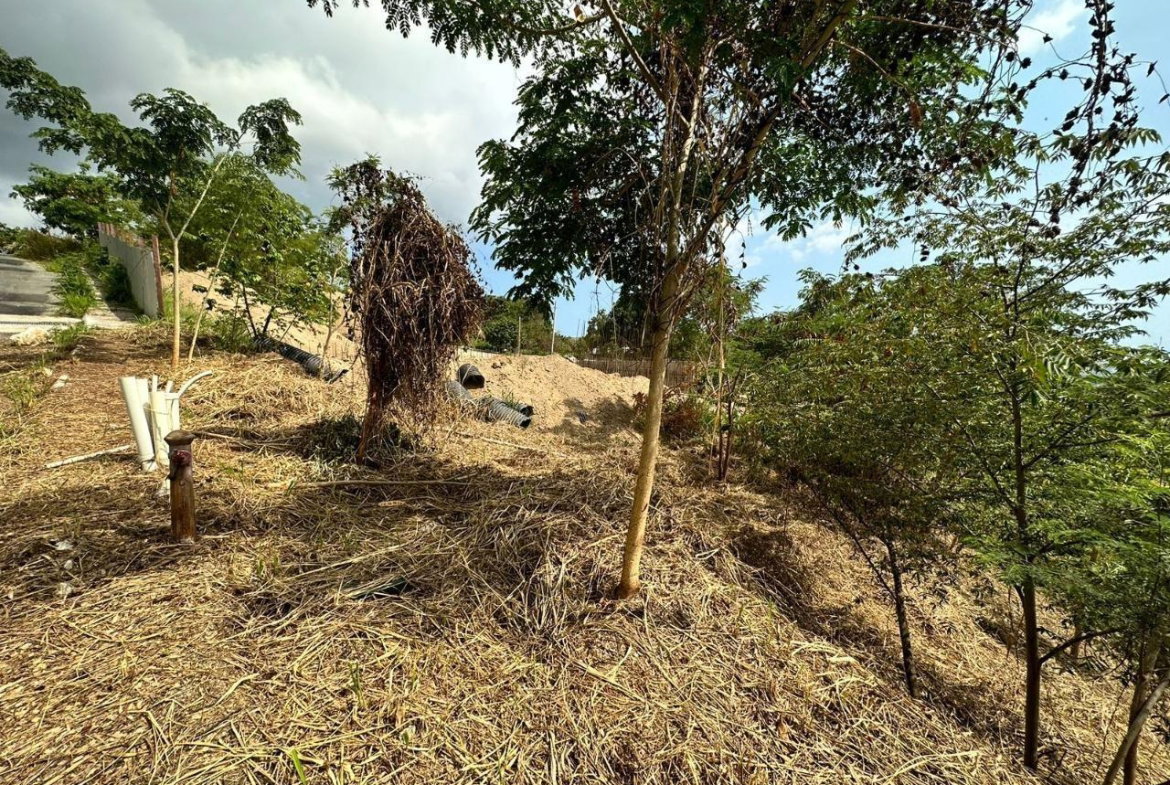 First image of 23 Widcombe Estate in Kingston 6, St. Andrew, Jamaica - property is For Sale