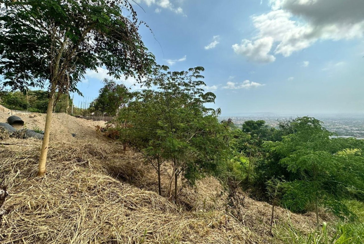 Third image of 23 Widcombe Estate in Kingston 6, St. Andrew, Jamaica - property is For Sale