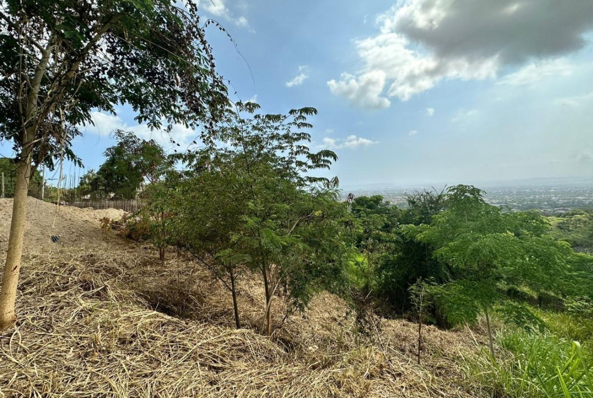 Sixth image of 23 Widcombe Estate in Kingston 6, St. Andrew, Jamaica - property is For Sale